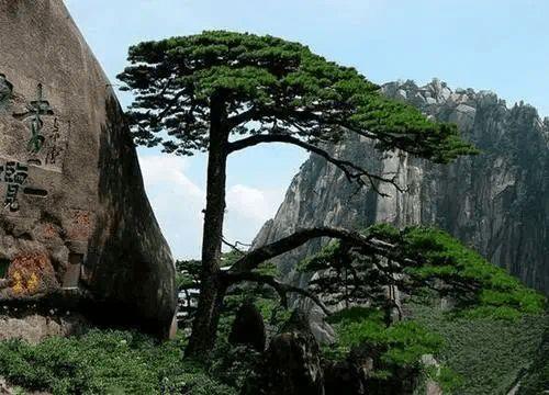 娱乐吃瓜君黄山,揭秘娱乐圈背后的那些事儿