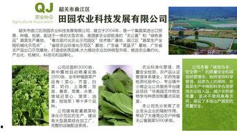 娱乐吃瓜的宣传策略,吃瓜群众必看的幕后大戏！