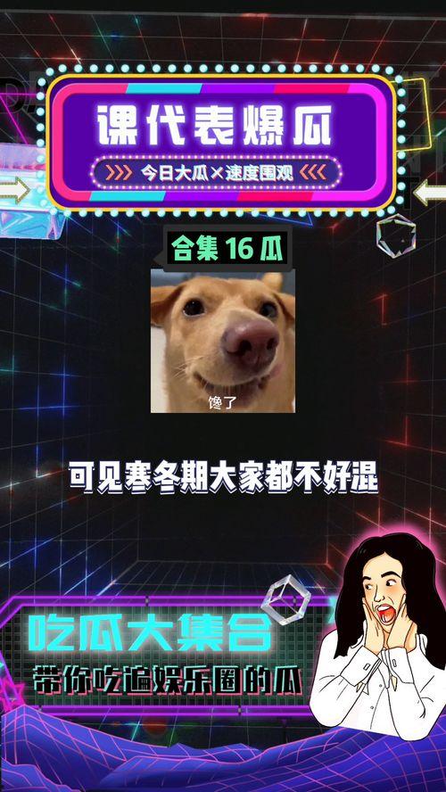 娱乐吃瓜八卦图片,吃瓜群众视角下的明星八卦风云