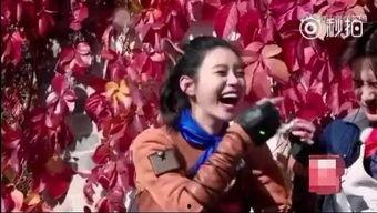 娱乐吃瓜综艺节目女爱豆,揭秘综艺背后的甜蜜与苦涩