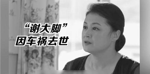 娱乐圈大型吃瓜群众小说,瓜田里的秘密风云录