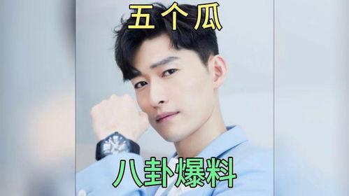 娱乐圈吃瓜爆料在线观看全集免费,吃瓜爆料全集免费观看，带你领略幕后风云