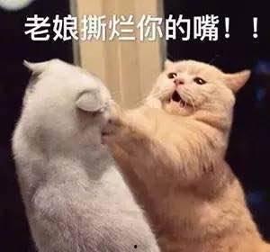 娱乐吃瓜君被骂,网络素养何在？