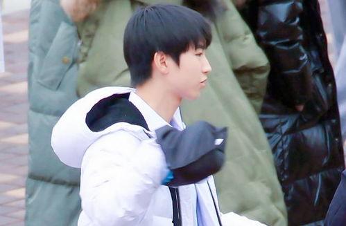 娱乐吃瓜君王俊凯,娱乐吃瓜界的“瓜王”传奇