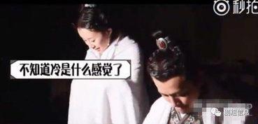 娱乐圈吃瓜鹅有匪