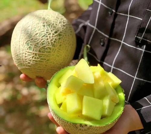 最近娱乐圈有什么瓜可吃,揭秘明星幕后故事与热点事件