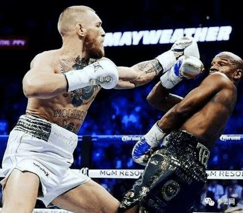 娱乐嘴炮吃瓜视频大全,揭秘吃瓜视频大全背后的精彩瞬间