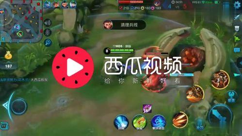 娱乐吃瓜视频背景图片大全,揭秘热门视频背景图片大盘点