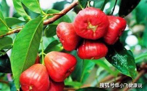 娱乐吃瓜酱皮肤管理