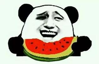 娱乐吃瓜酱防止智力退化,智慧不退——趣味生活，智力提升之道