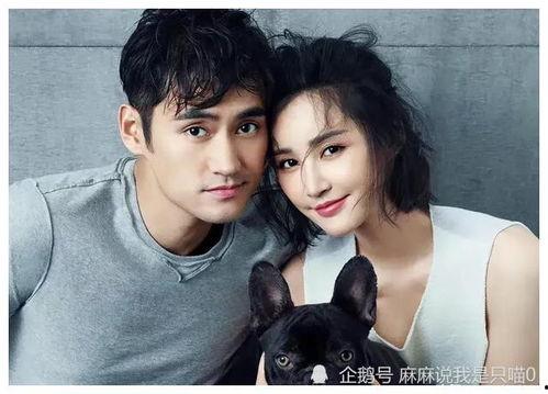 黑红小花在娱乐圈吃瓜,黑红小花吃瓜大揭秘